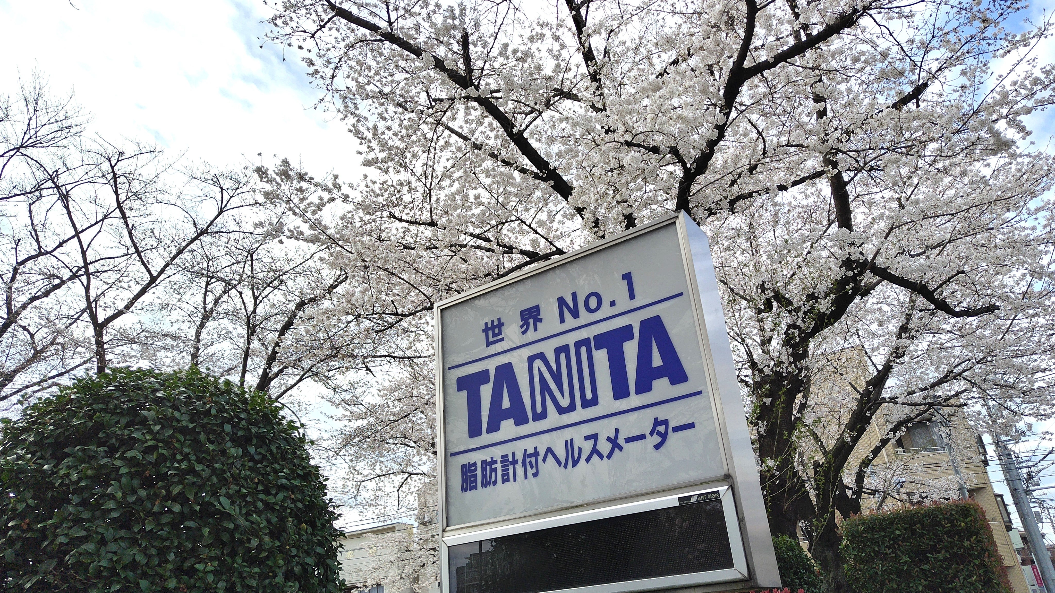 TANITAのストレートニュース | ラウンジ｜タニタ1万人プロジェクト